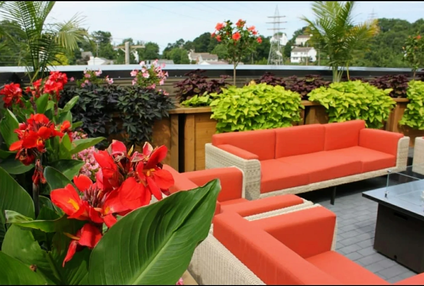 Terrace Garden Services Provider in Noida